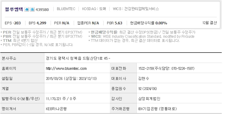 블루엠텍 주가 기업개요 (1008)