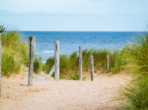 혈관 청소에 좋은 음식 알아보기