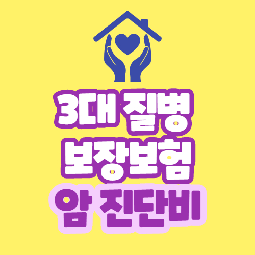 3대질병보장보험1