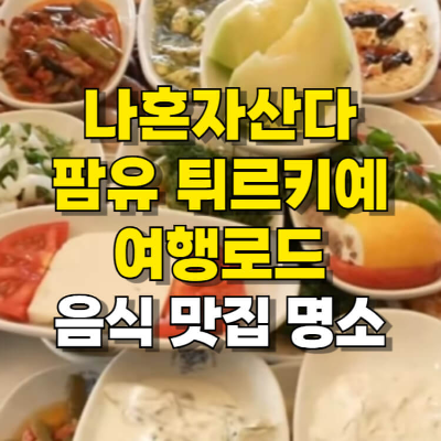나혼자산다 팜유 튀르키예 이스탄불 여행 음식 맛집 명소 섬네일