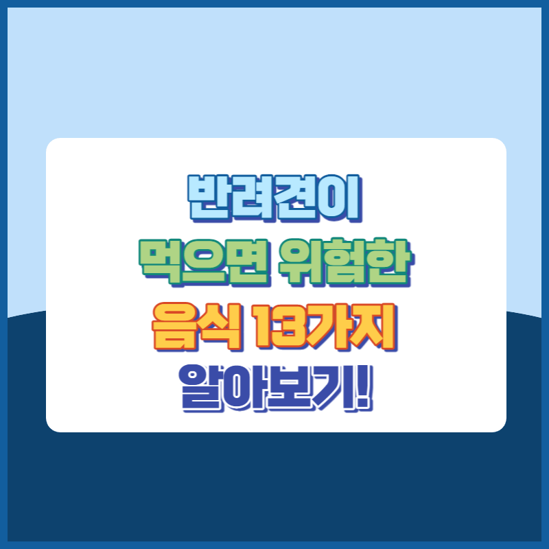 반려견이먹으면위험한음식13가지 썸네일이미지