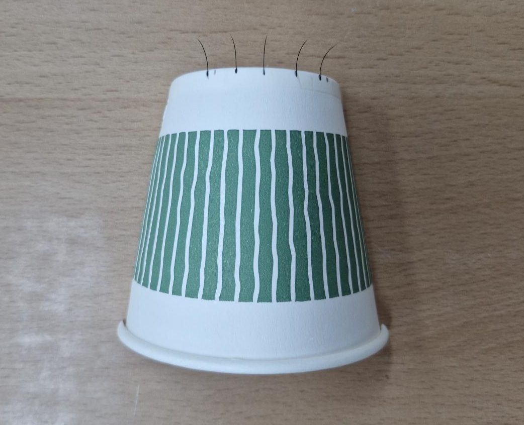 속눈썹연장4단계