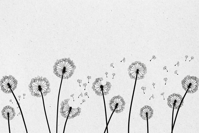 한강 소년이 온다 줄거리 의미 해석 ✅