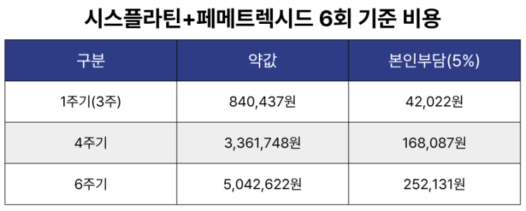 시스플라틴+페메트렉시드 6회 기준 비용