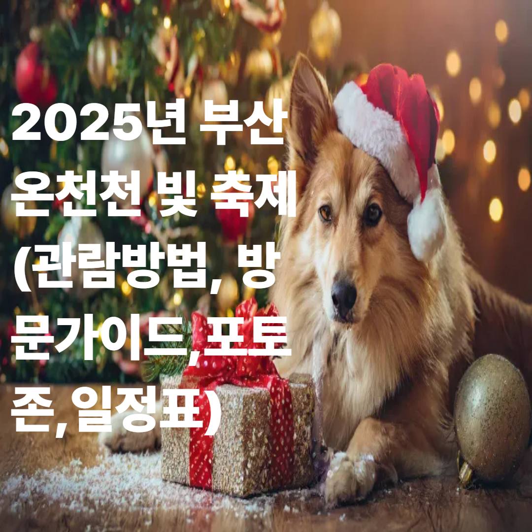 2025년 부산 온천천 빛 축제 (관람방법, 방문가이드,포토존,일정표)