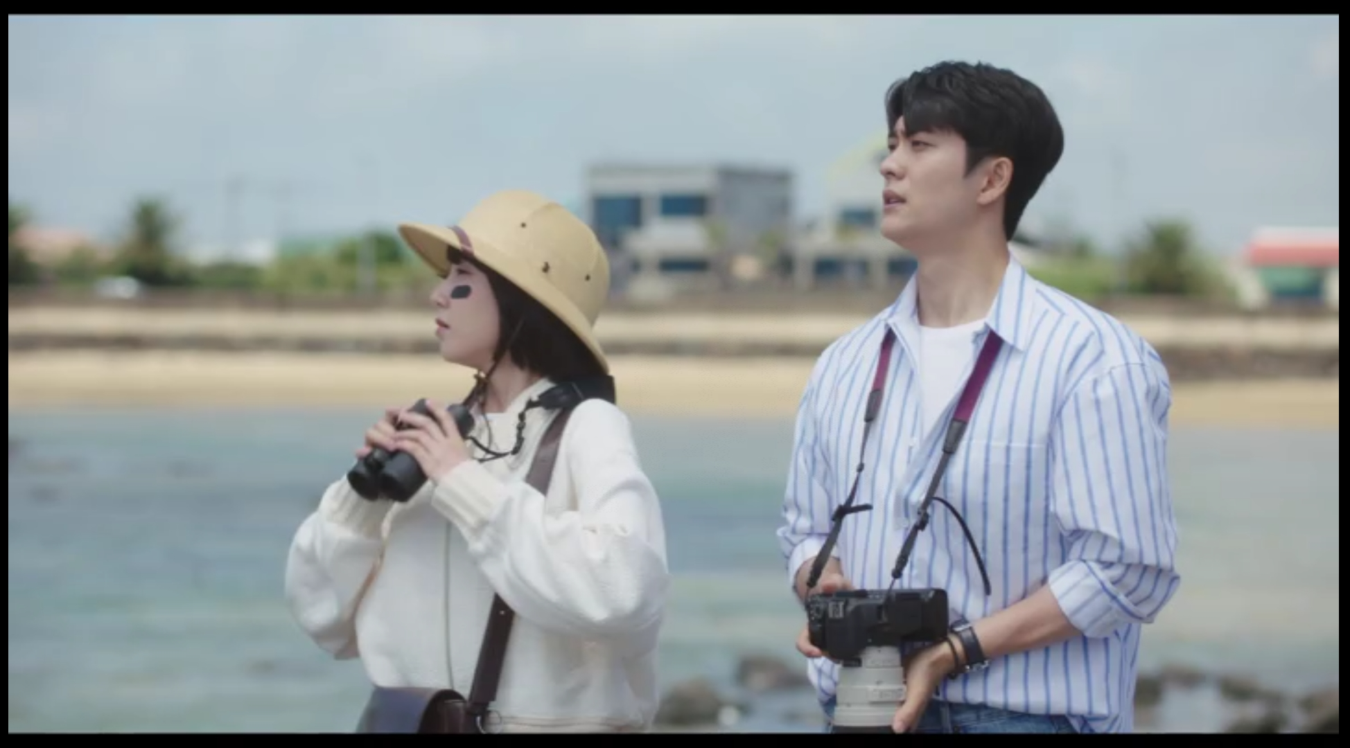 이상한 변호사 우영우 드라마 촬영지 (팽나무, 웨딩, 낙조, 제주도) 제주 돌고래 출몰지역 스팟