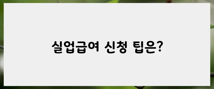 신청부터 수급까지: 실업급여 인터넷 신청 완벽 해부