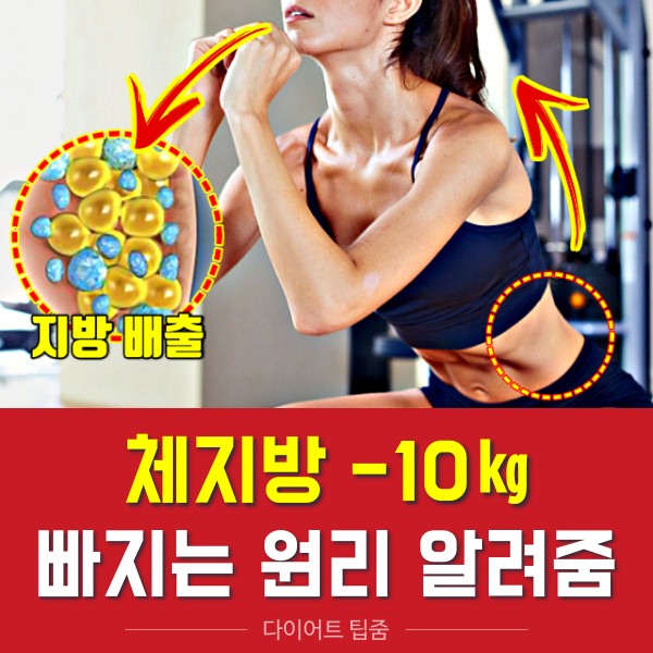 체지방 다이어트 살빠지는 운동 유산소 운동 호흡법, 건강 팁줌 매일꿀정보