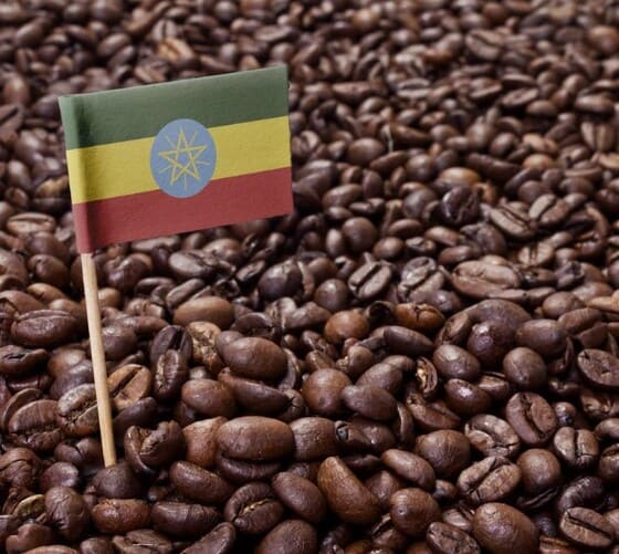 에디오피아 원두 커피