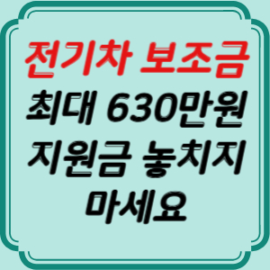 전기차 보조금
