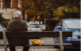 고령운전자 운전면허증 자진반납