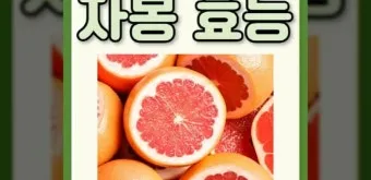 자몽 효능과 건강 효과_22