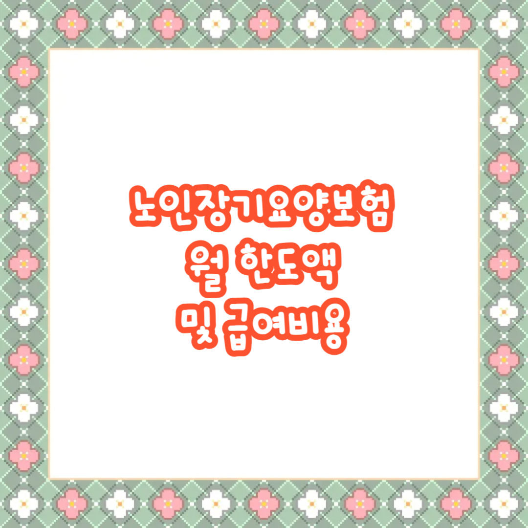 노인장기요양보험 월 한도액 및 급여비용