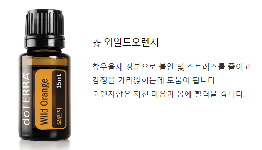 오렌지