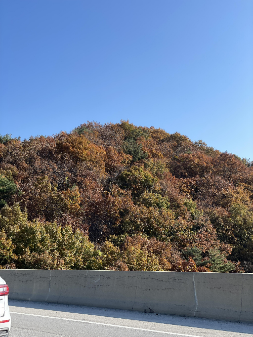 가을 단풍 명소