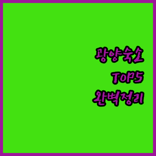 출장객과 여행객을 위한 광양 숙소 5..