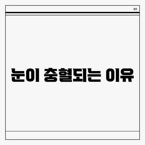 눈이 충혈되는 이유