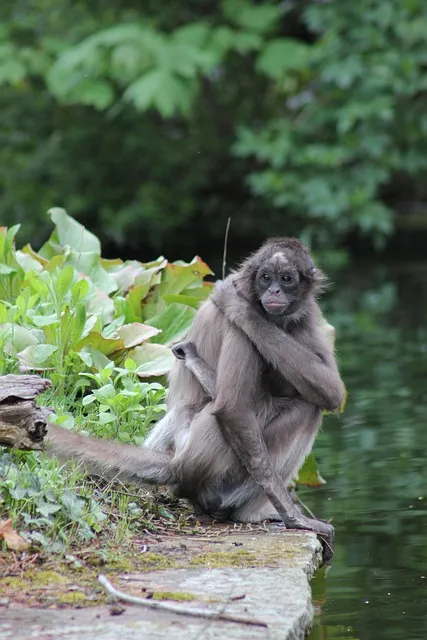신세계 상품권으로 애슐리 뷔페 이용 꿀팁 정리_8