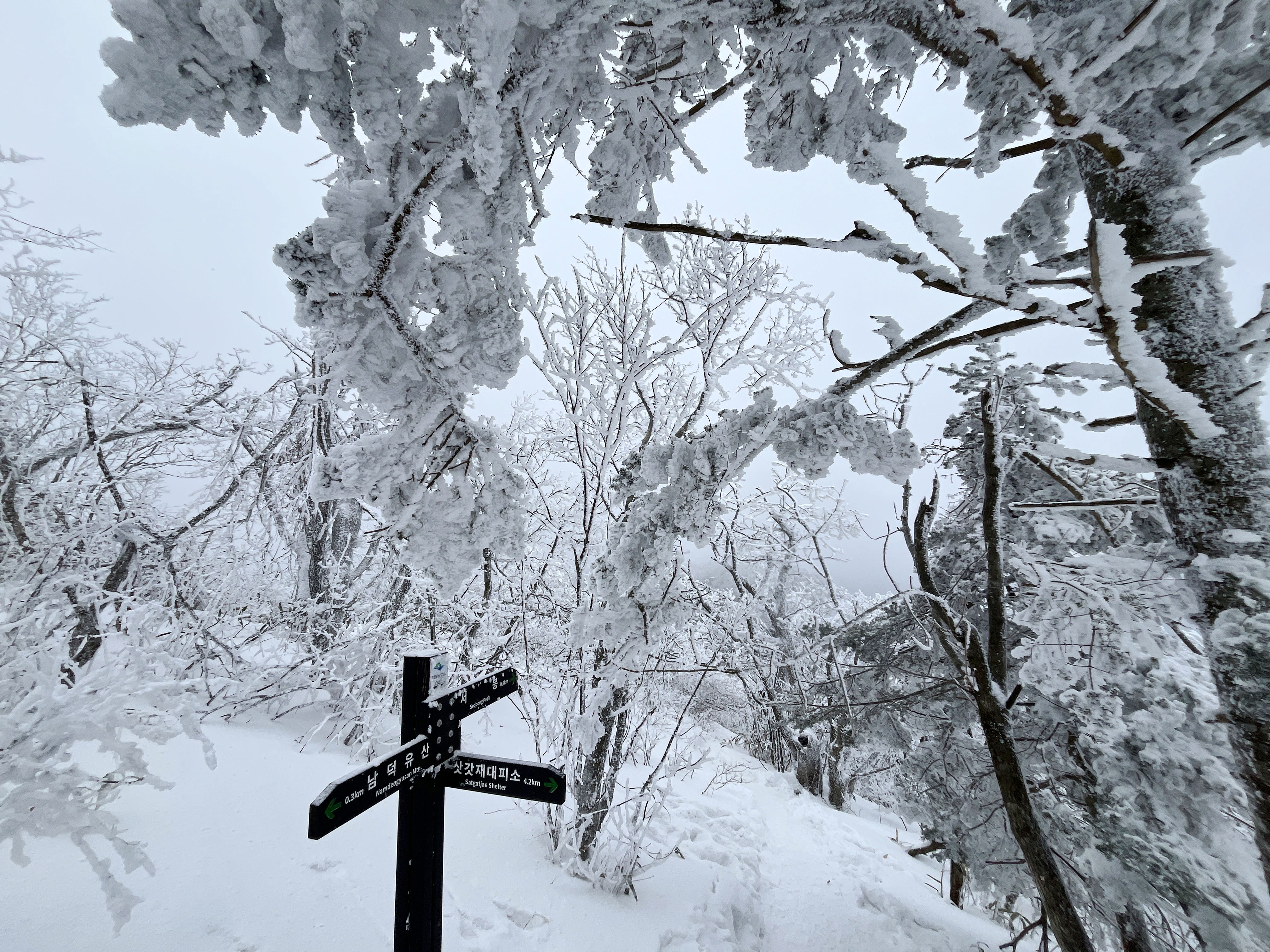 남덕유산