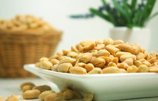 땅콩 수확시기 심는시기 심는 방법