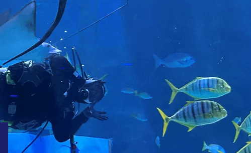 서울 데이트코스 추천