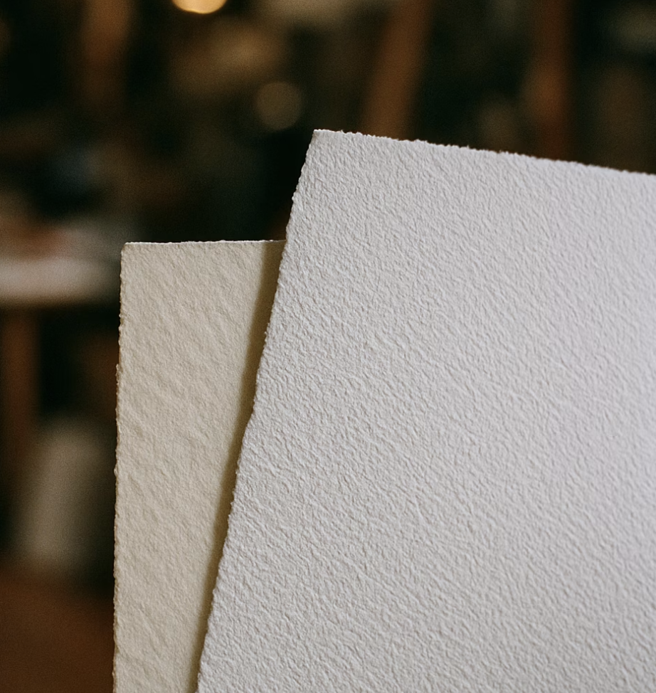 쌍둥이 같지만 다른 두 종이의 정체