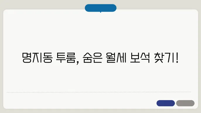부산시 강서구 명지동 투룸 월세 시세, 가격비교