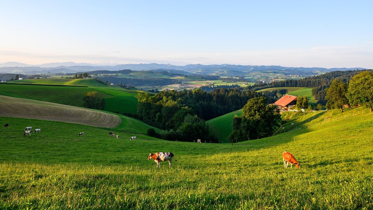 시력교정 비용 지원