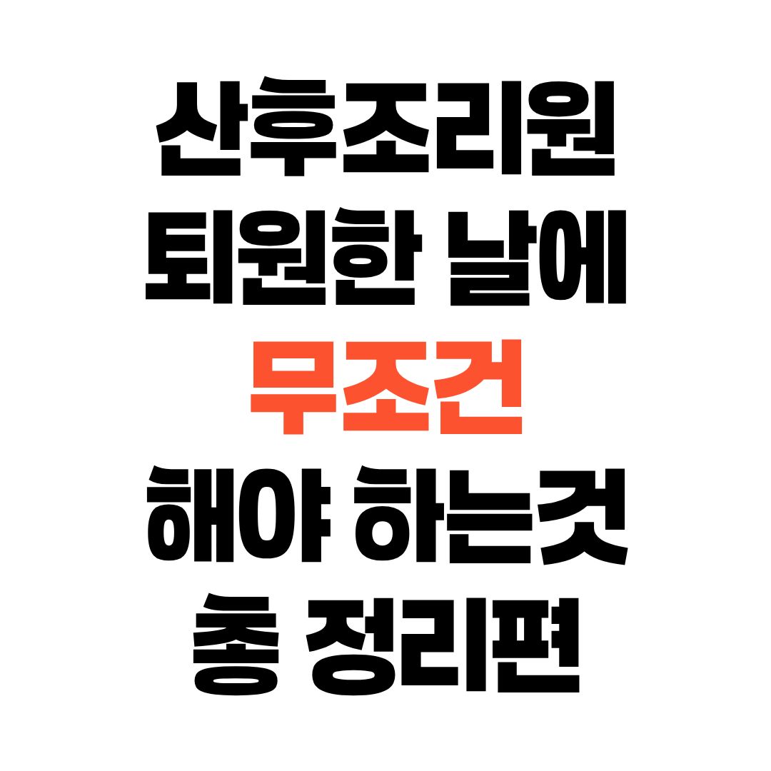 산후조리원 퇴원한 날에 무조건 해야 할것