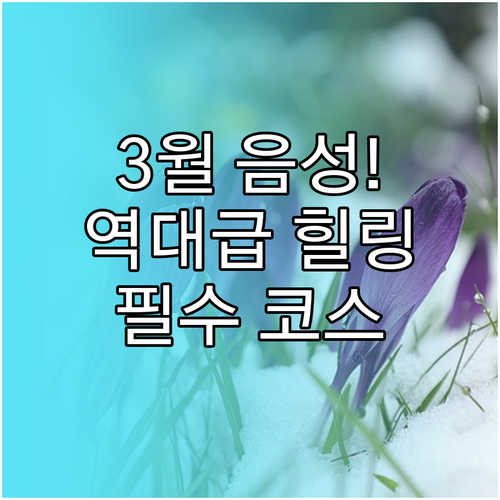 음성 가볼만한곳 3월 봄맞이 힐링 명..