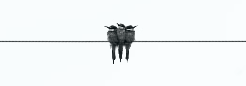 미니멀리즘 라이프