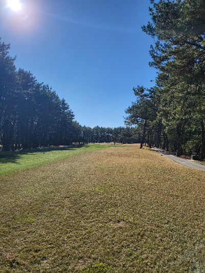 미야쟈키 톰왓슨c.c전경사진