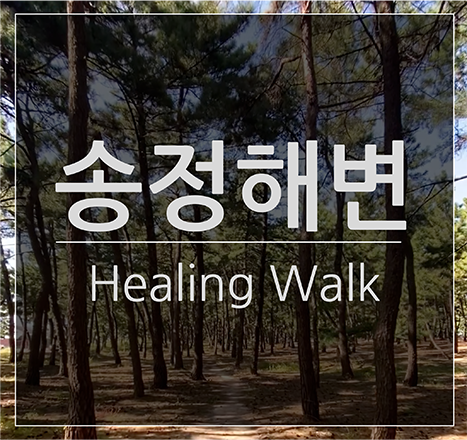 송정해변 Healing Walk