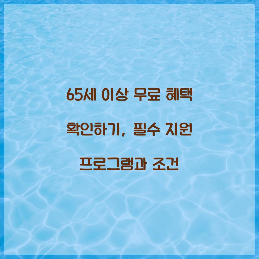 65세 이상 무료 혜택