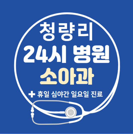 동대문구-청량리동-24시간-병원-소아과-토요일-야간-일요일-진료-당직병원-찾기
