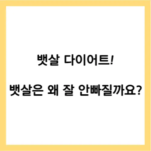 뱃살 다이어트