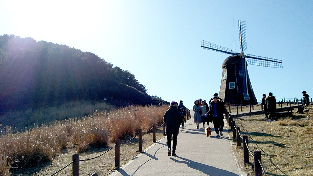 거제도 바람의 언덕