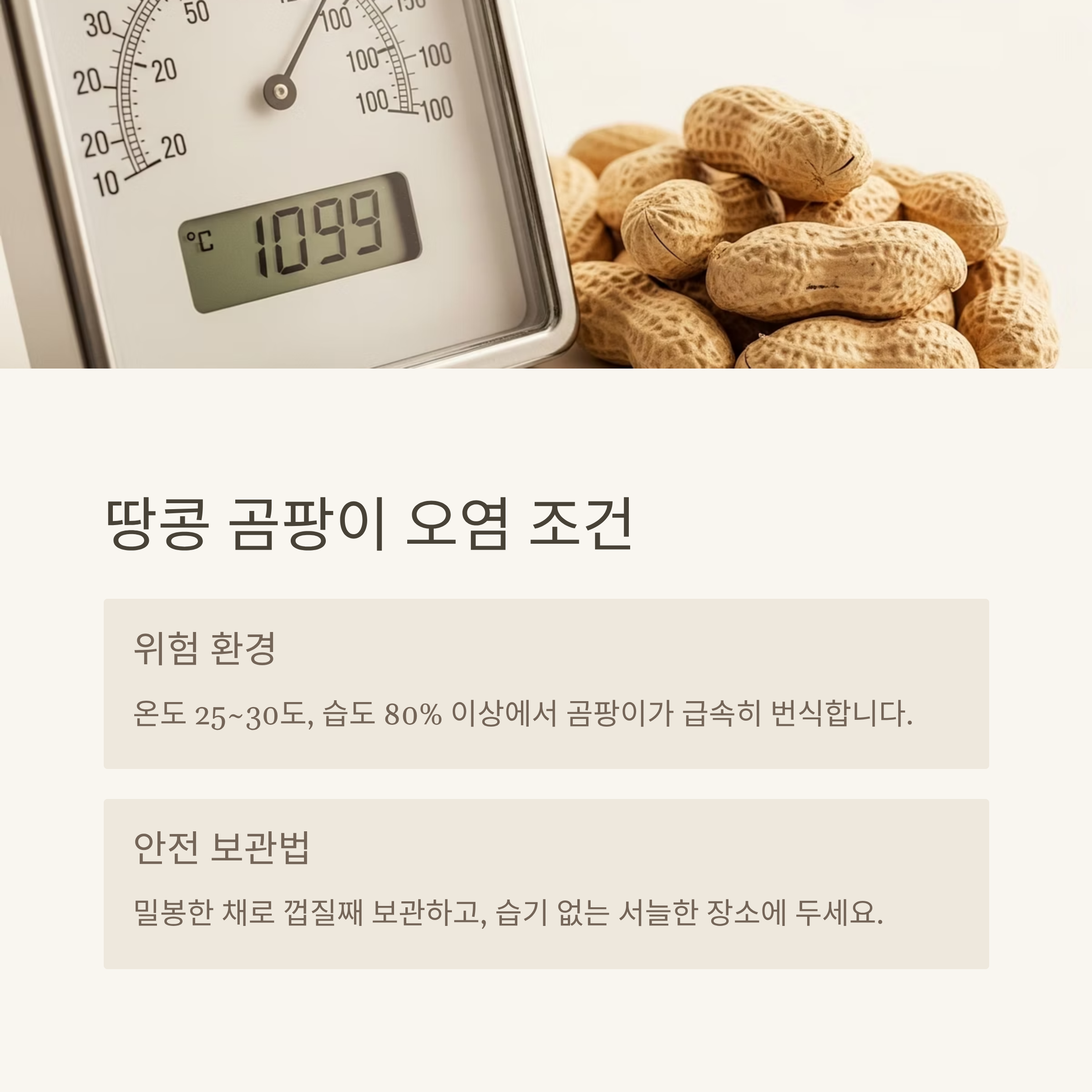 땅콩 곰팡이 오염 조건