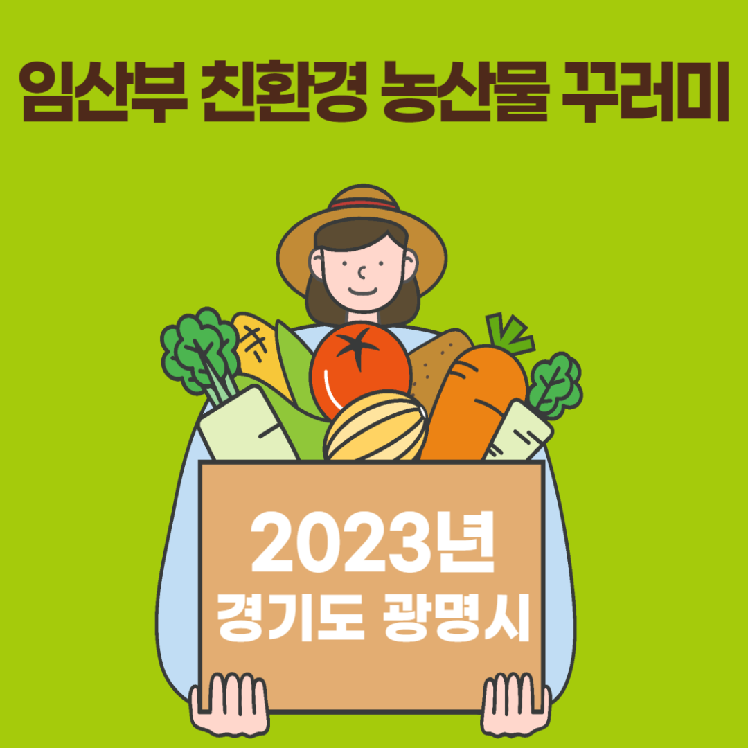 임산부 친환경 농산물 꾸러미