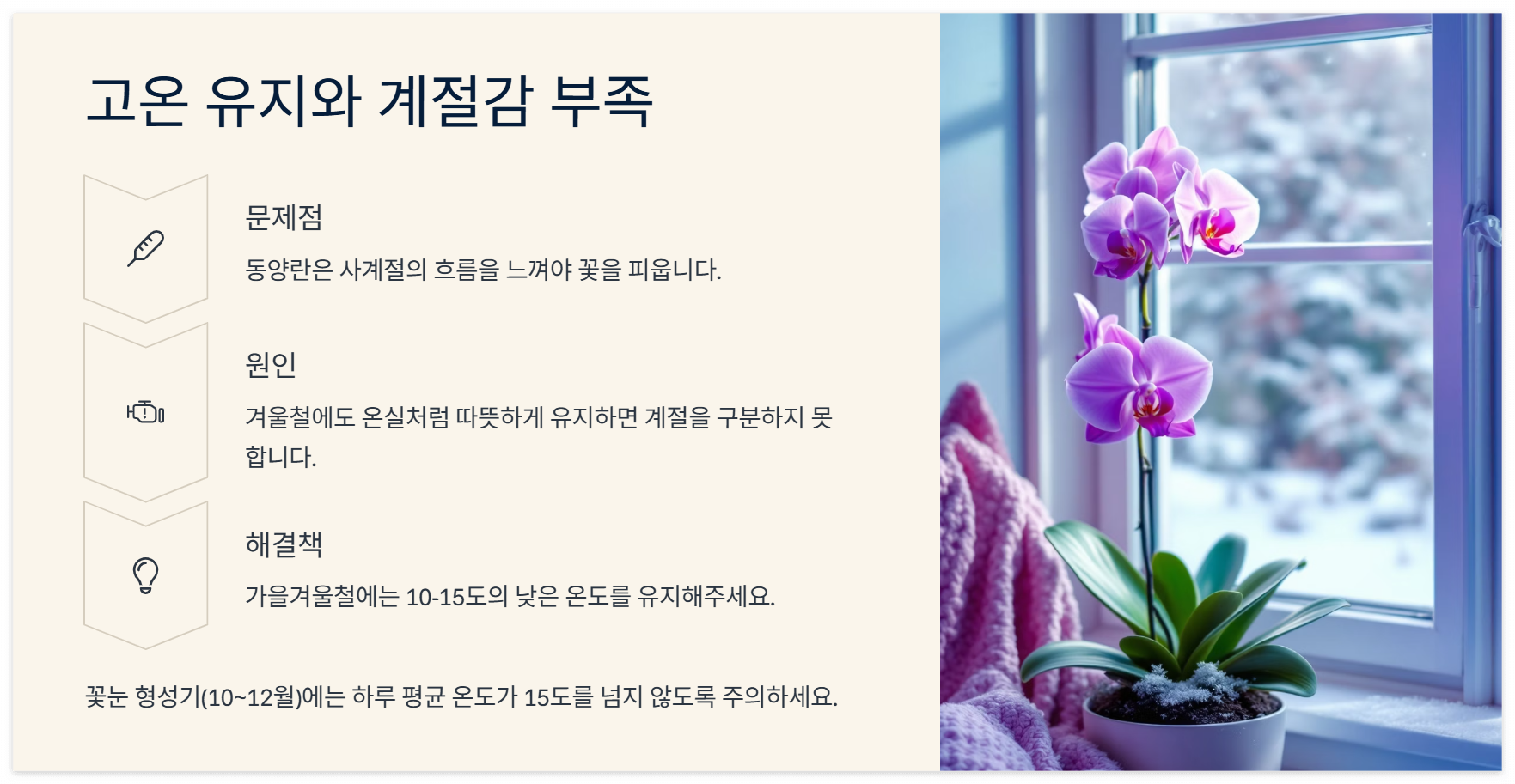 동양란 꽃이 안 피는 이유