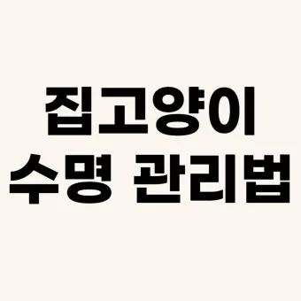 집고양이 vs 길고양이 평균 수명 차이 심층 분석_9