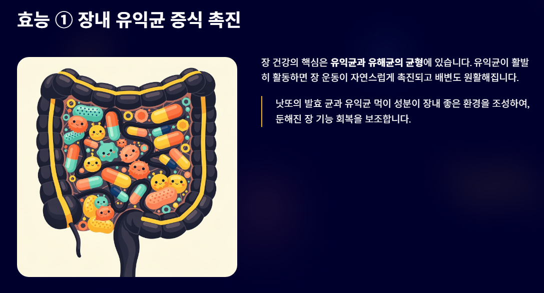 변비에 좋은 음식 낫또의 효능 알아보기