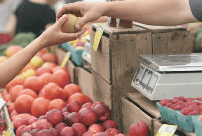 민생회복 소비쿠폰 사용불가 매장