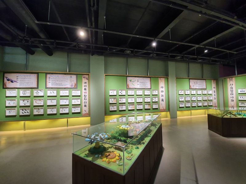 여주곤충박물관