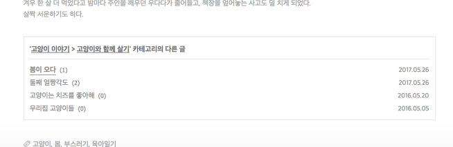 티스토리 플러그인