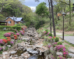 자연휴양림 BEST 5 2023년 신축