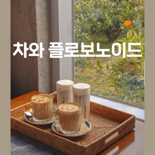 차와 플라보노이드