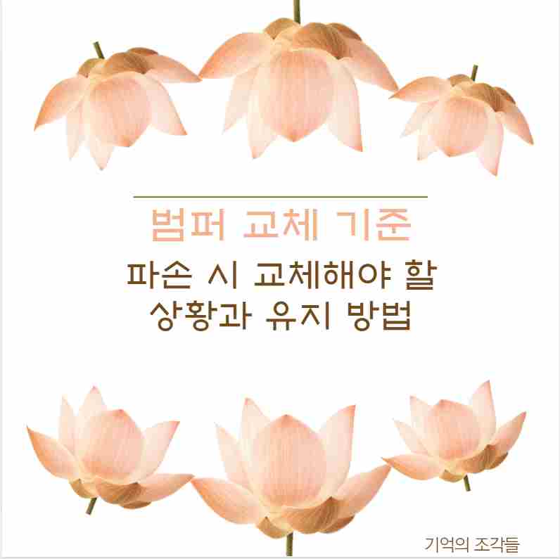 범퍼 교체 기준 파손 시 교체해야 할 상황과 유지 방법