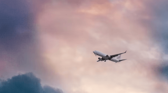 해외여행 중 여권 분실 대처법