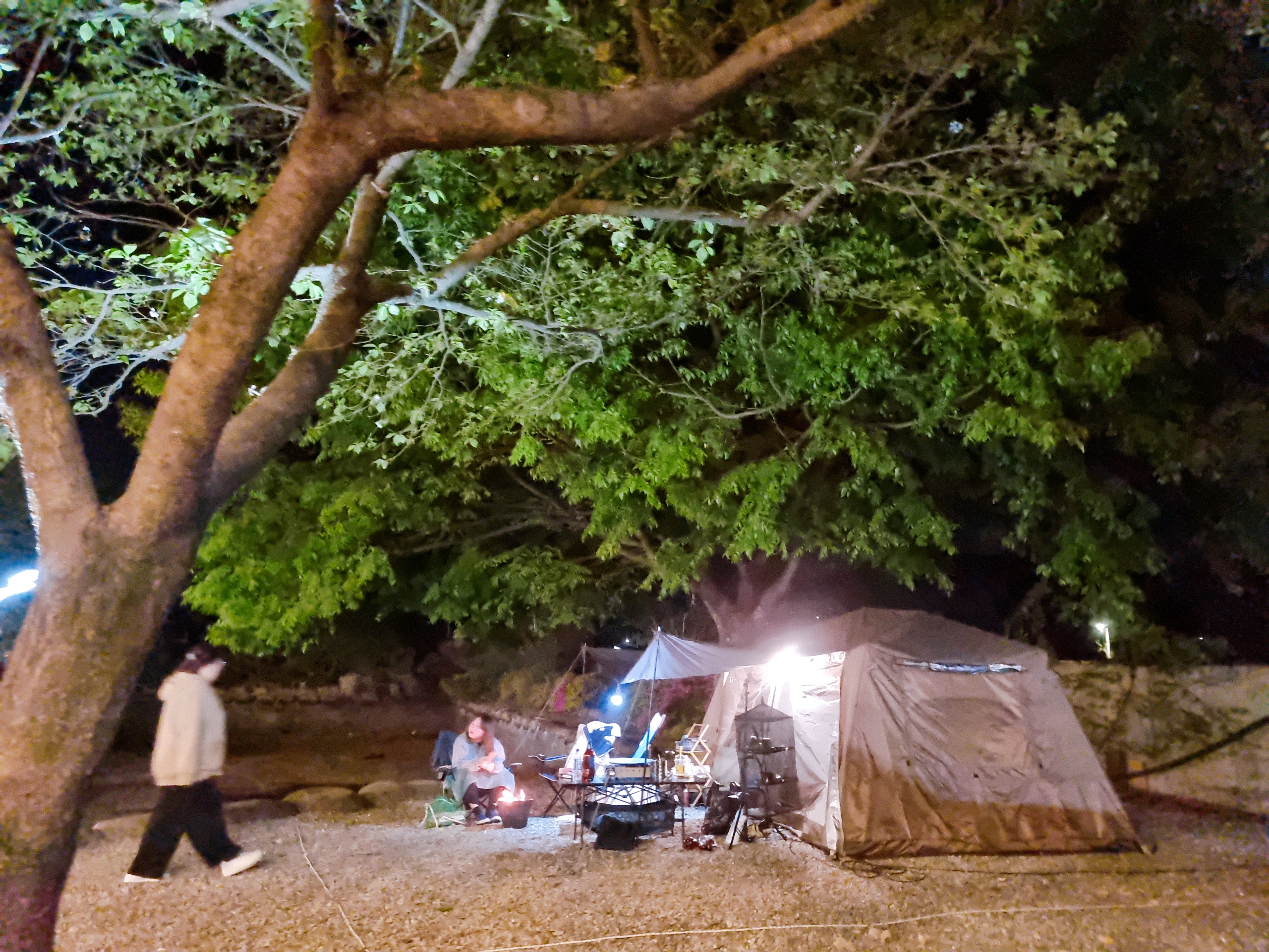 밀양 테마캠핑장